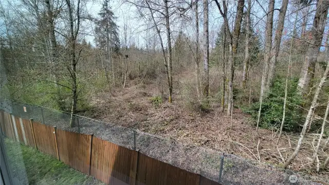 Backing to green belt