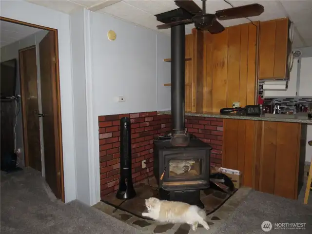 Woodstove in the living room