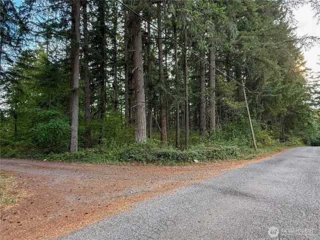 3.250 Acre beautiful, wooded lot, ready to build your Dream Home.