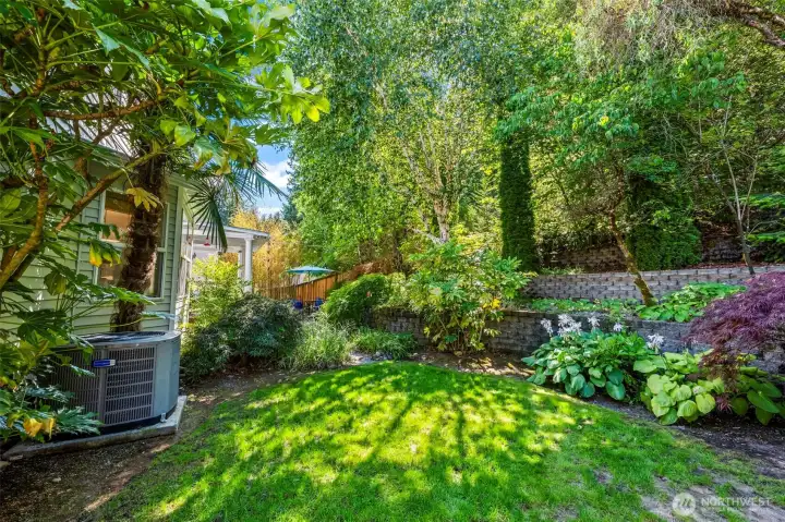 Beautifully manicured backyard