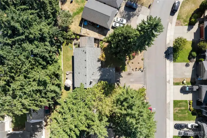 Very serene, private backyard, perfect for relaxing, and for entertaining!