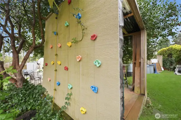 Climbing wall Seller had built for his son and friends