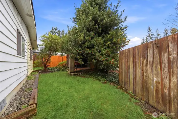 Fenced backyard