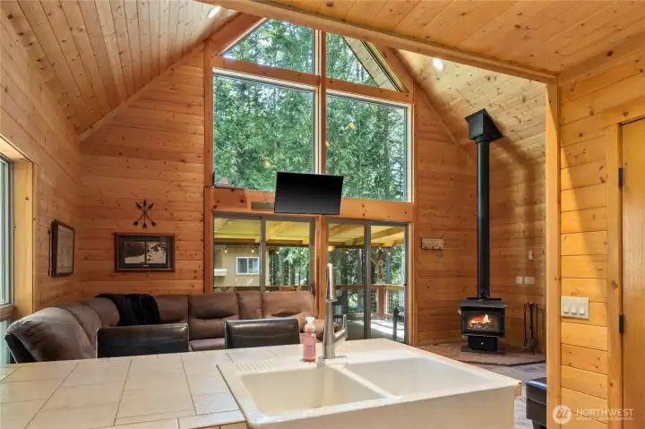 I love this farmhouse apron style sink!