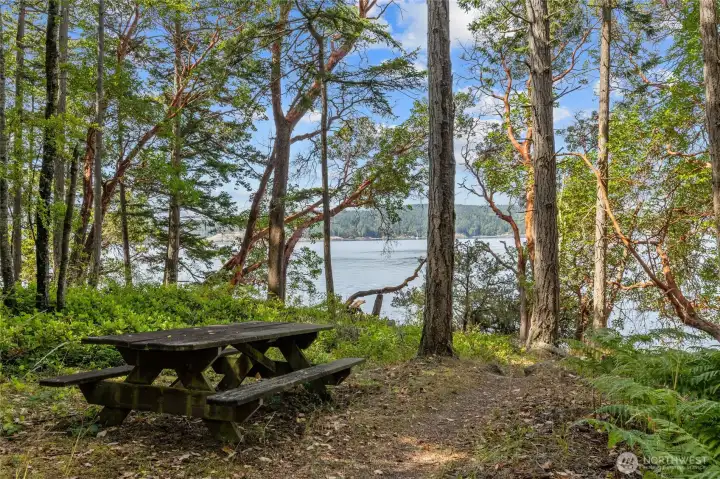 Community parks & trails!