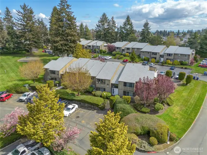 Thanks for visiting!