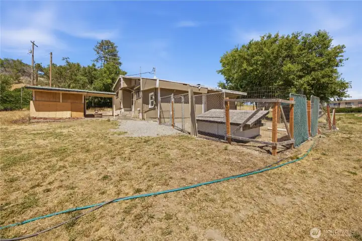 Piece of the back yard.