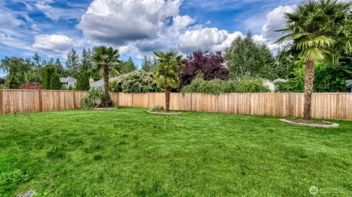 Photo has been digitally enhanced to depict green grass during the growing season. Just needs some watering love! Photo has been digitally enhanced to depict green grass during the growing season. Just needs some watering love!