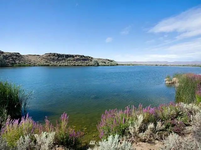 View from east end of Hilltop Lake, a 30 acre water body --- home to ducks, geese & bass galore!  5000 front feet of low bank/lake frontage.