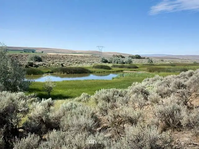 Total of 60 acres of lakes & ponds!   Fabulous fishing.   Great duck hunting.   Golf course architecture, design & drawings completed.