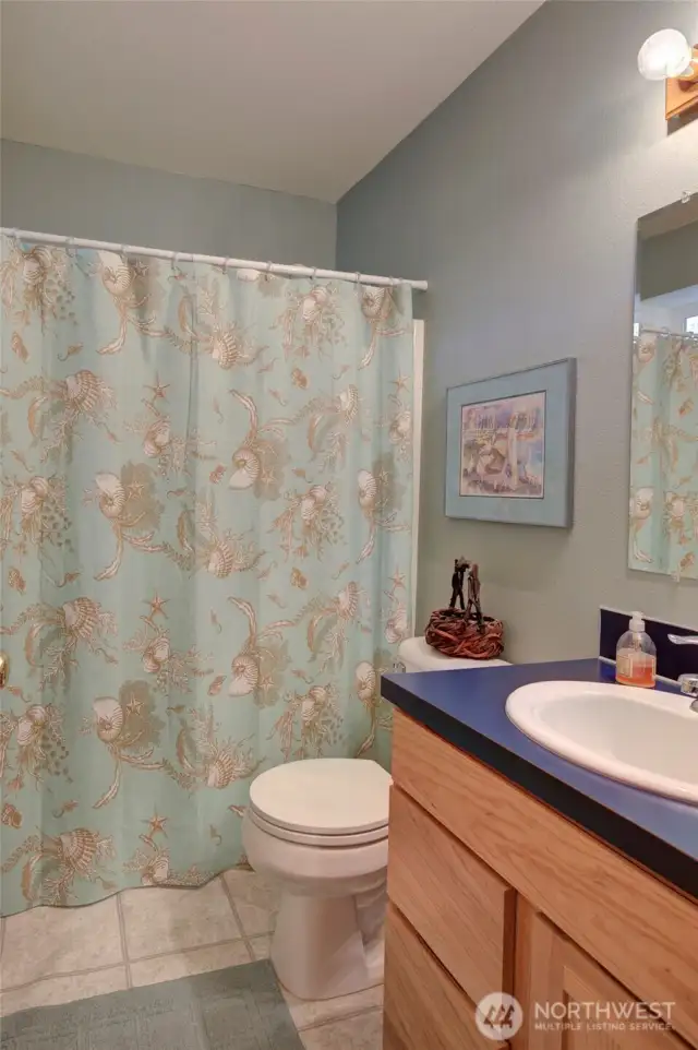 Downstairs guest bath.