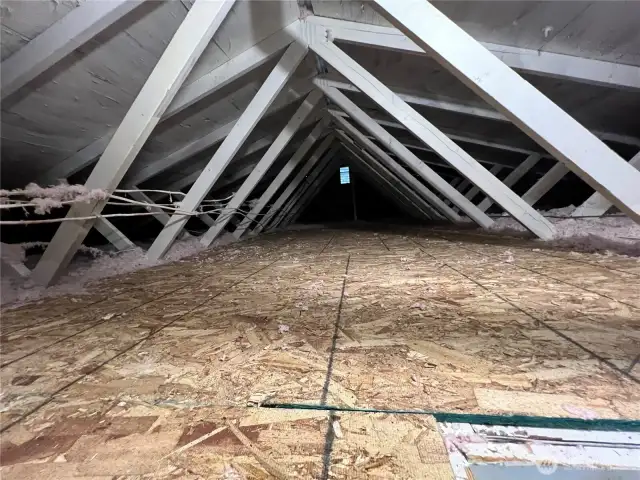 Lighted attic storage area above garage has pull down ladder.
