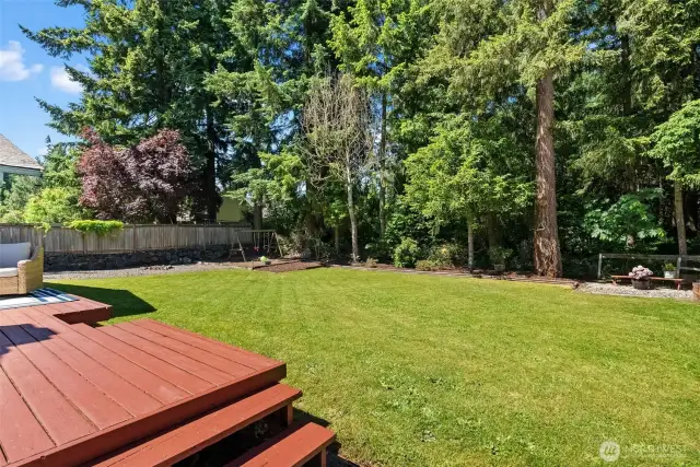 looking from patio into back yard