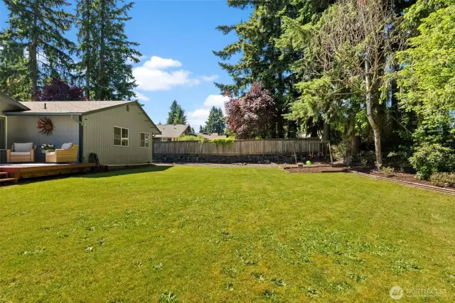 looking down the yard from side to side