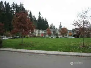 city park