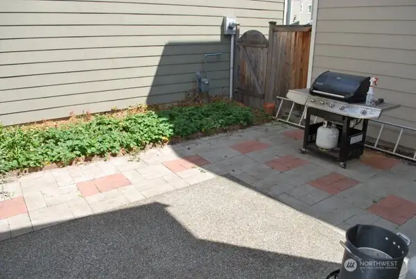 Back yard
