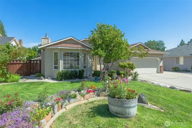 Front yard