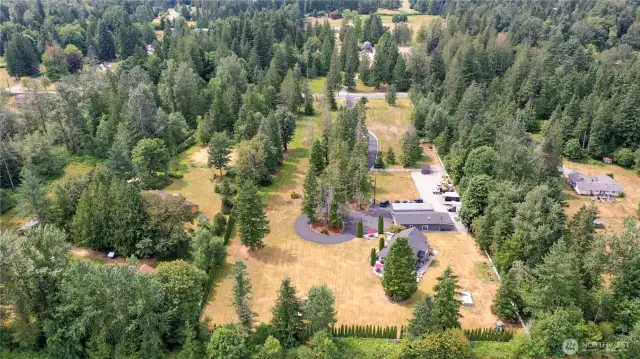 Privacy trees, tranquil and LEVEL 5+ acres