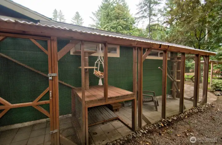 Catio that is screened and lots of room to play