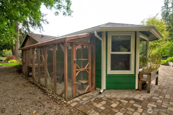 Entrance into Catio