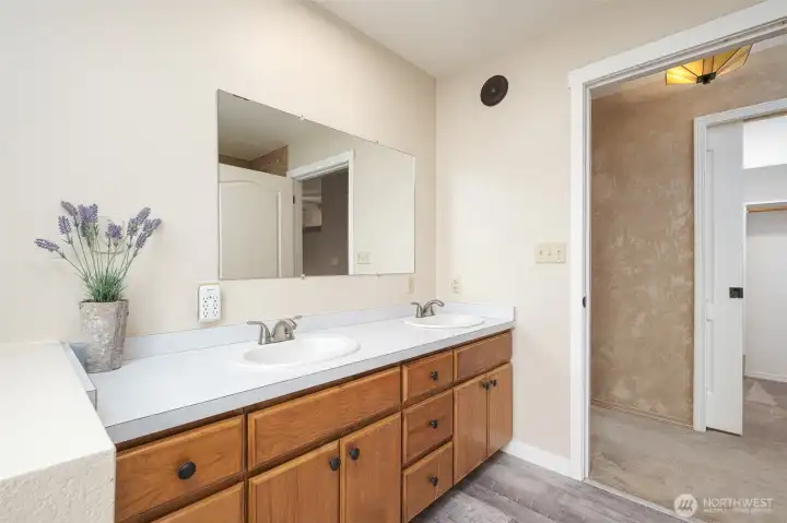 Primary Bathroom and Walk-in Closet