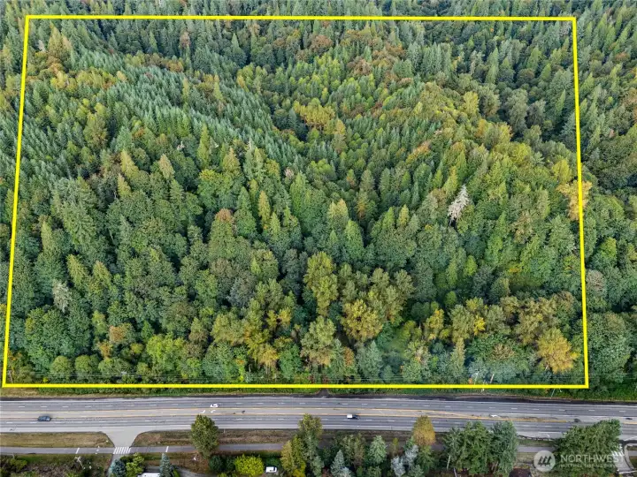 Heavily Treed acreage - currently in Forestry Designation  Property Lines are not accurate