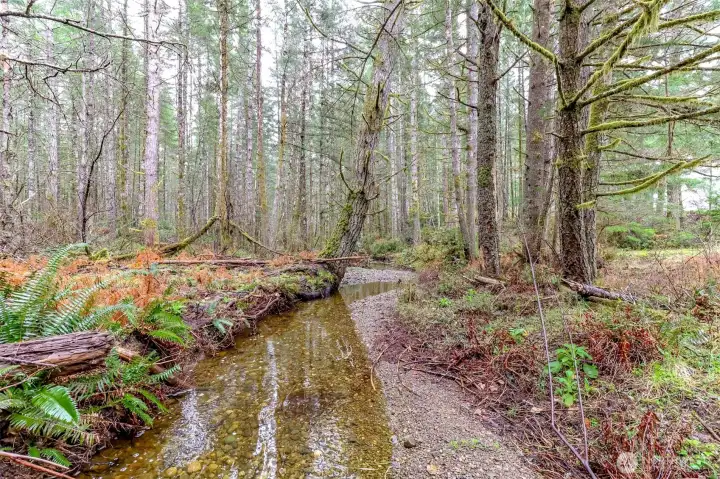 Seasonal creek from Blacksmith Lake to Tahuya River