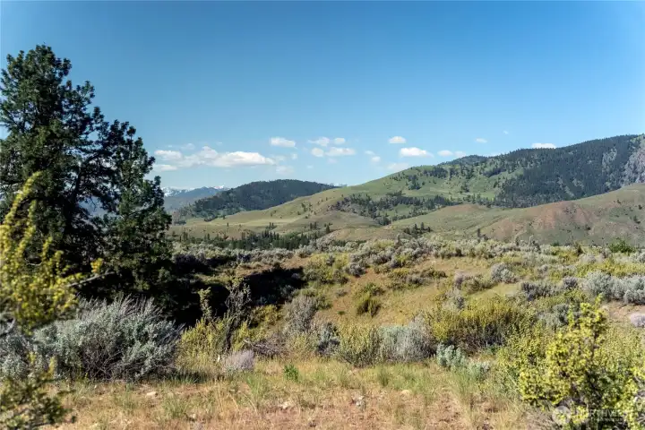 The surrounding shrub-steppe supports a rich diversity of plants and birds, and offers great seasonal interest.