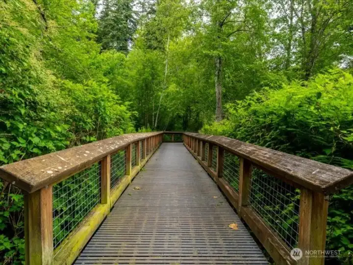 There is a great bridge to get you across the ravine! There is a great bridge to get you across the ravine!