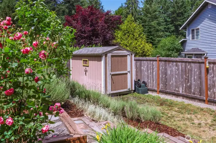 Garden shed.