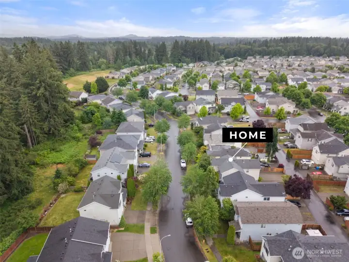 When you exit the neighborhood; turn right and head to Olympia/Lacey. Turn left and your headed to the heart of Tumwater and on your way to Costco.