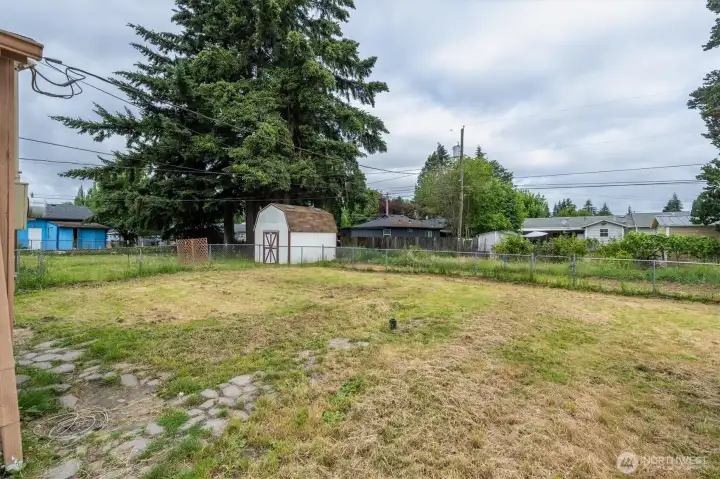 Back yard