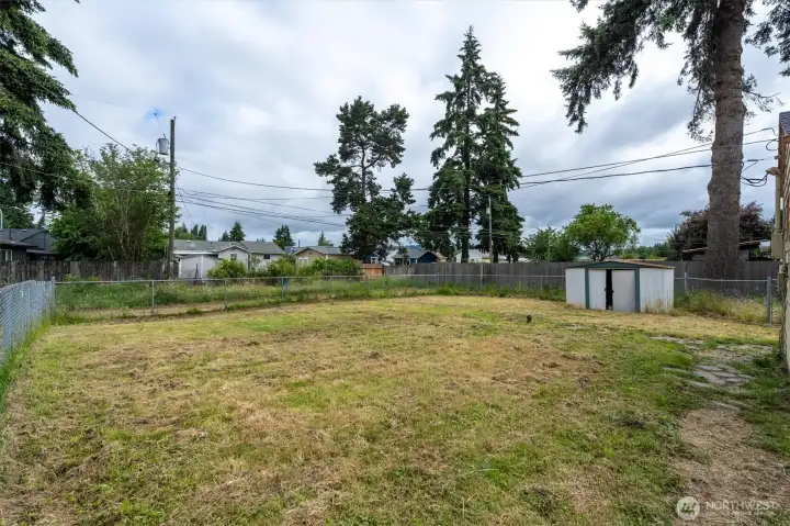 Fenced back yard