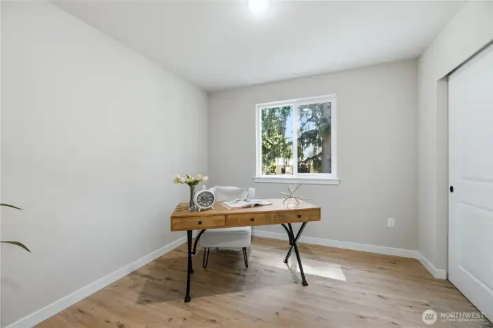 Lower level 4th bedroom or office/den