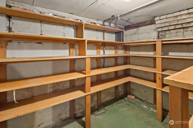 Storage room with existing shelving in the back of the basement.