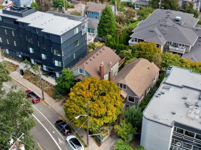 1412 Taylor (right side home) and its twin - shown in context of other neighboring buildings.