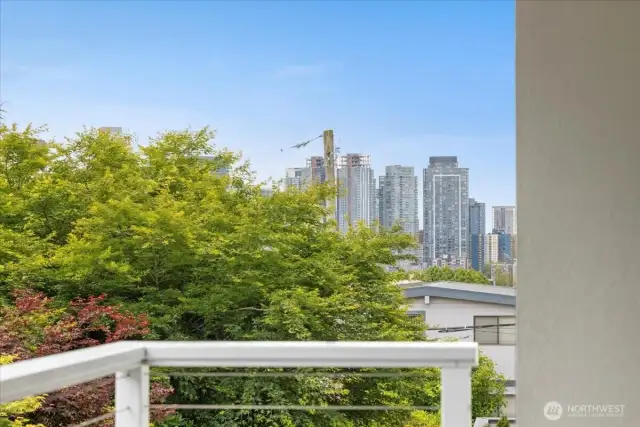 Amazing view of the city from the deck