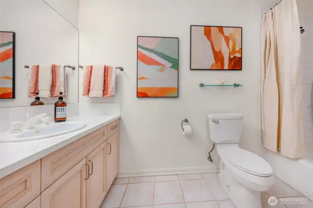 Full lower level bath.