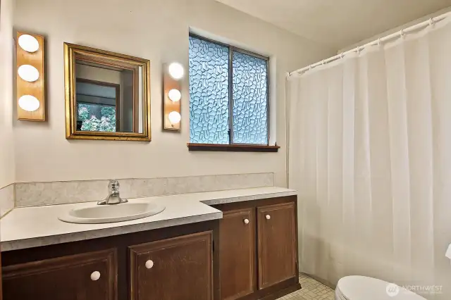 Lower level bathroom