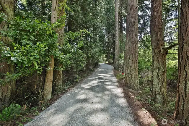 Freshly graveled driveway.