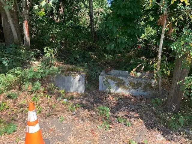 This is an old driveway, now walking path, located approximately on the S boundary of Lot A.