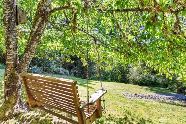 Relax on the swing under the cherry tree