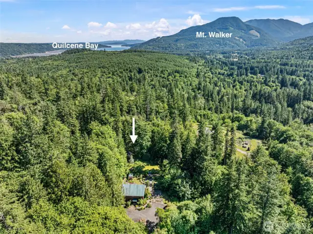 Mt. Walker and Quilcene Bay in the distance