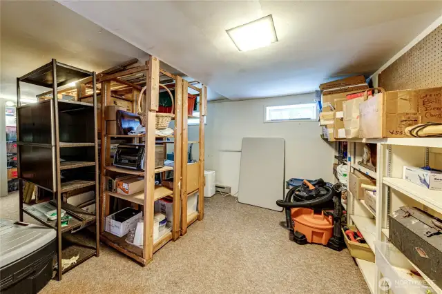 Basement Storage