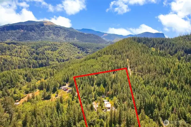 Aerial View - Property line estimate - not actual.