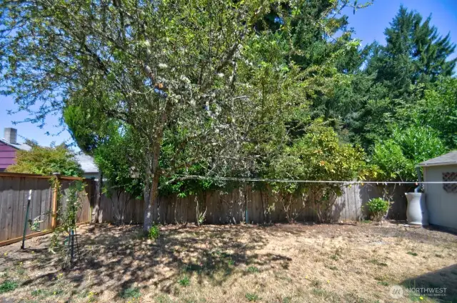 Plenty of fruit trees/bushes and garden space