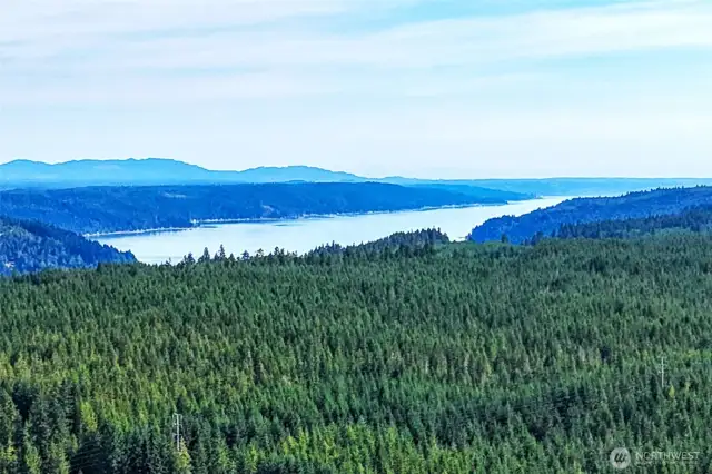 Drone view of golf course and Hood Canal
