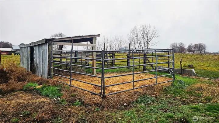 Set-up and ready for cattle.
