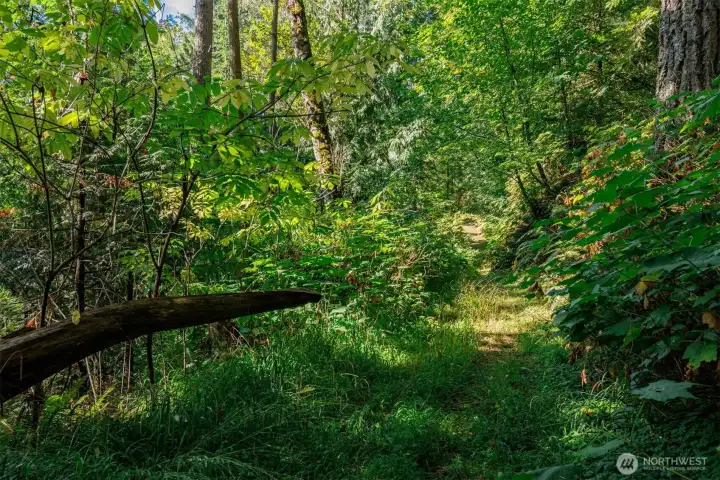 Access trail/road to top of property via easement
