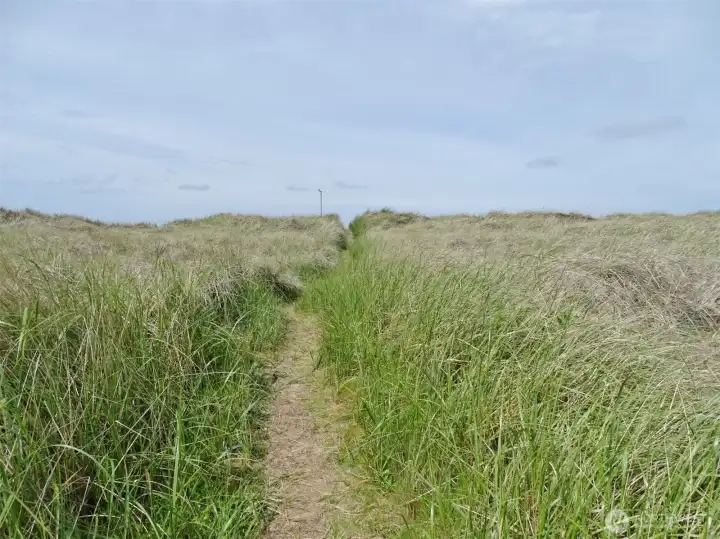 View of the path to the Beach (taken in 2022).